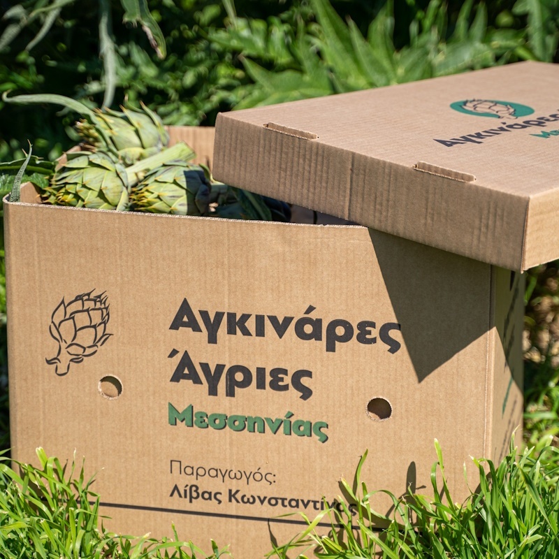 Άγριες Αγκινάρες